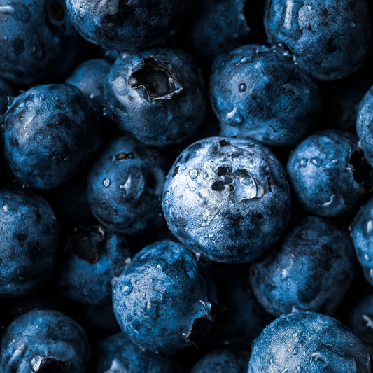 Vaccinium Myrtillus Seedcake Powder