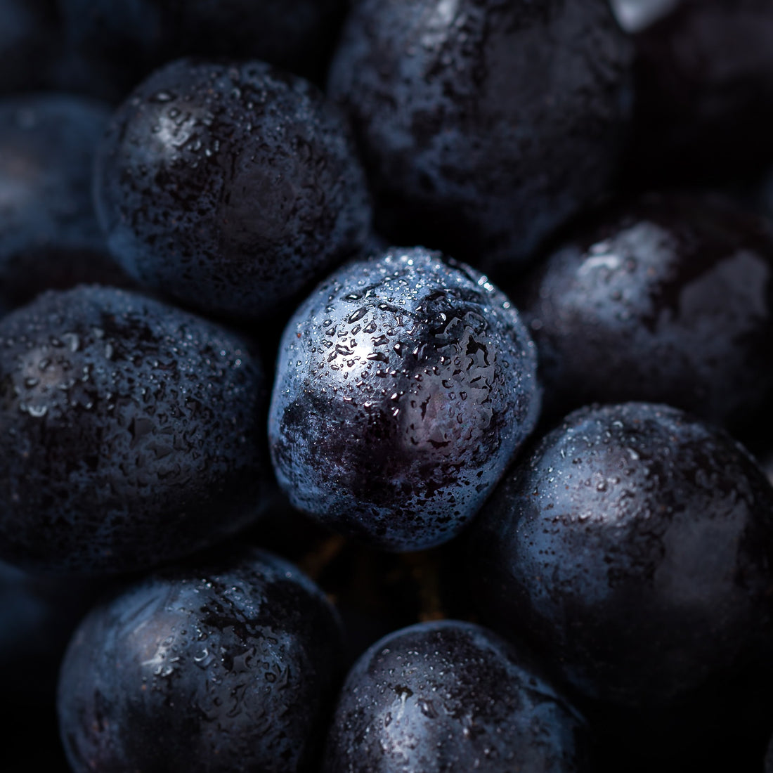 Vitis Vinifera (Grape) Seed Oil