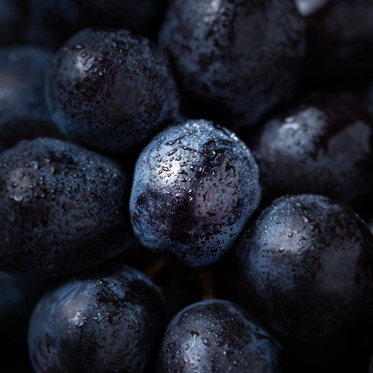 Vitis Vinifera (Grape) Seed Oil