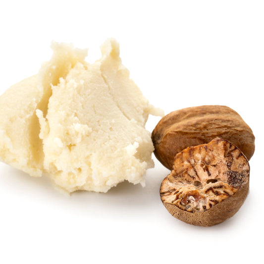 Butyrospermum Parkii (Shea Butter)