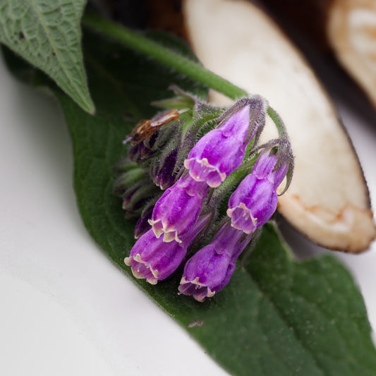 Allantoin